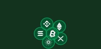 Pluto Markets lancerer handel med krypto Pluto Markets lancerer handel med krypto